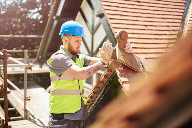 Best Residential Roofing Contractor  in Petaluma, CA